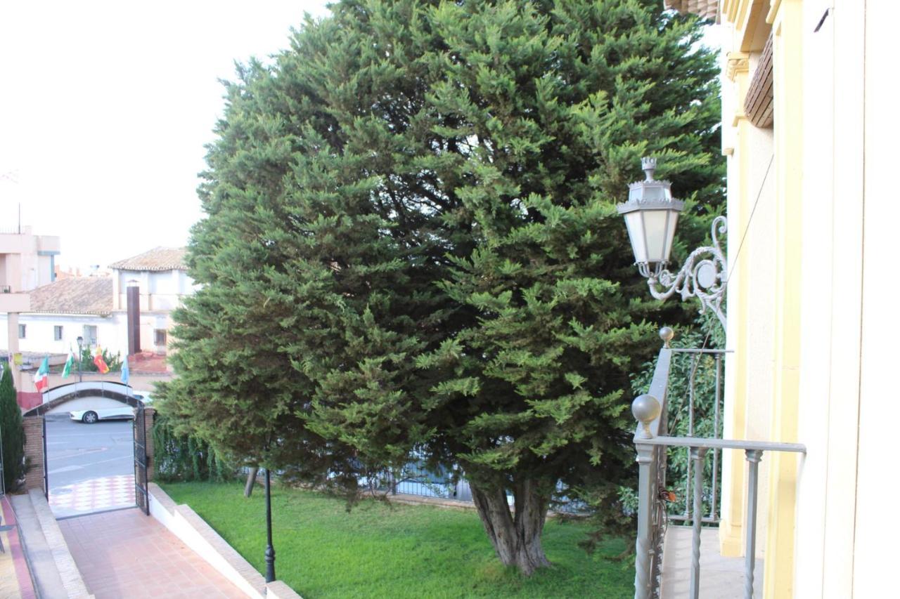 Hotel La Zubia , Granada Dış mekan fotoğraf